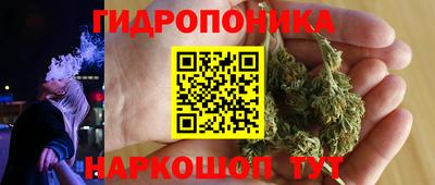 скорость Обь