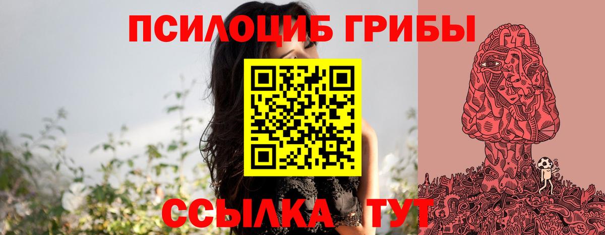 Россошь  Галлюциногенные грибы Cubensis  Вход с VPN 